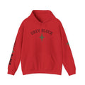 Unisex Heavy Blend™ Hooded Sweatshirt - Also in Red